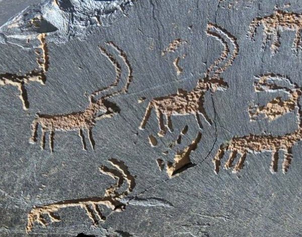 Petroglyphs of Uzbekistan — photo 1