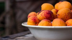 Uzbek apricots — photo 3